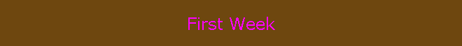 First Week